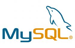 كيف تنشئ قاعدة بيانات MYSQL جديدة